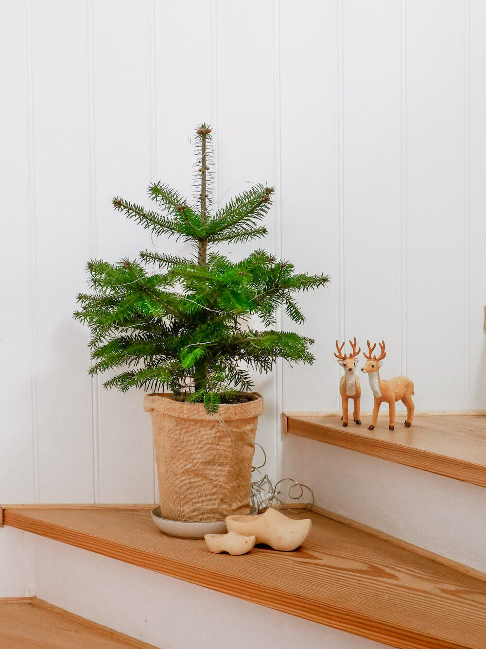bureau I særdeleshed kun Mini juletræ i potte - Juletræ.dk